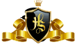 HS Professional